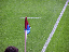 small100_1893